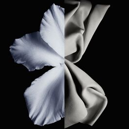 Gentleman - Eau de Toilette