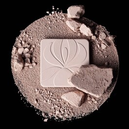 Blur Expert - Poudre de finition perfectrice et lissante