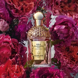 Aqua Allegoria - Rosa Rossa Forte - Eau De Parfum