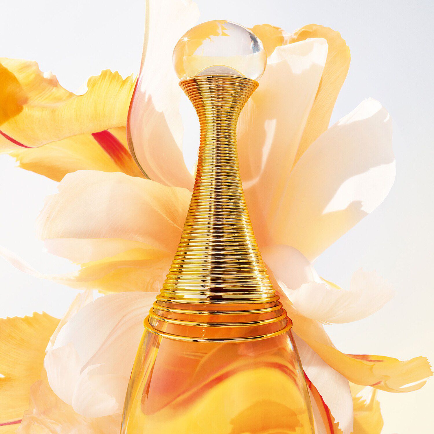 Douglas sales jadore 100ml