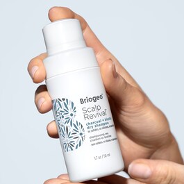 Scalp Revival Charcoal + Biotin Dry Shampoo - Shampooing Sec