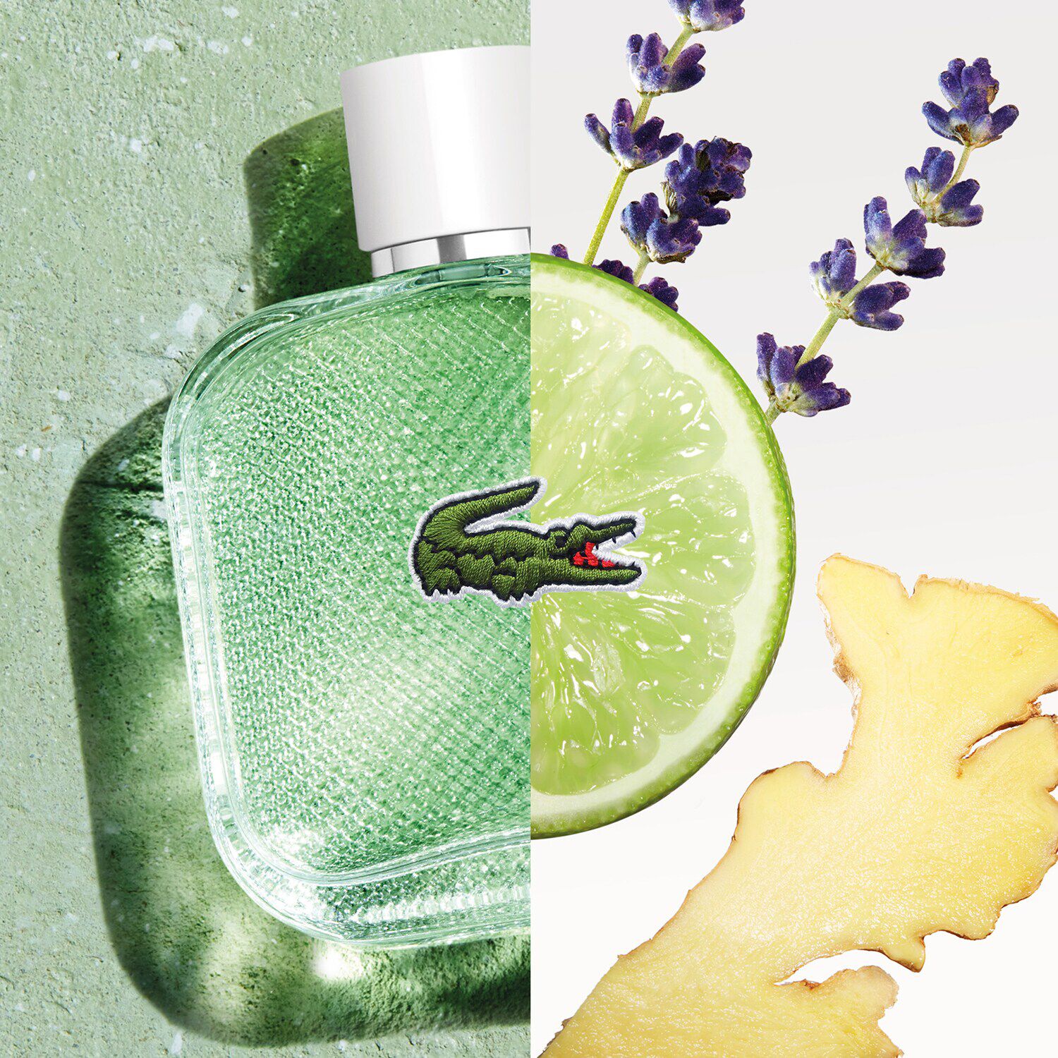 L.12.12 Blanc Eau Fraiche de LACOSTE SEPHORA