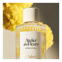 Atelier des Fleurs Herba Mimosa - Eau de Parfum