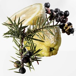 Terre d'Hermès Eau Givrée, Recharge Parfum