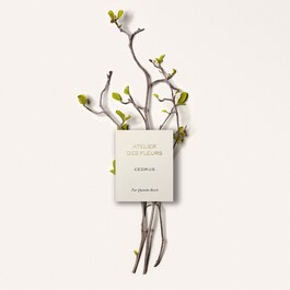 Atelier des Fleurs Cedrus - Eau de Parfum