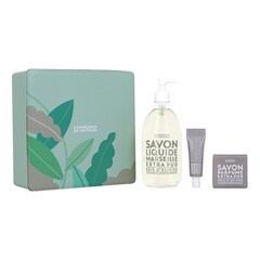 Rituel Peau Douce Mains & Corps Parfum Bois D'Olivier - Coffret Soin Corps, LA COMPAGNIE DE PROVENCE