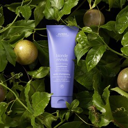 Blond Revival™ - Après-Shampooing Raviveur De Blond