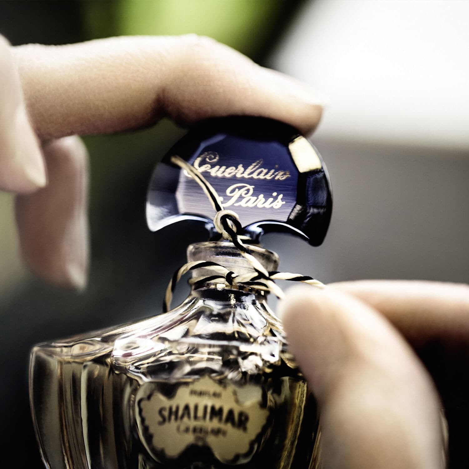 Shalimar philtre sales de parfum review