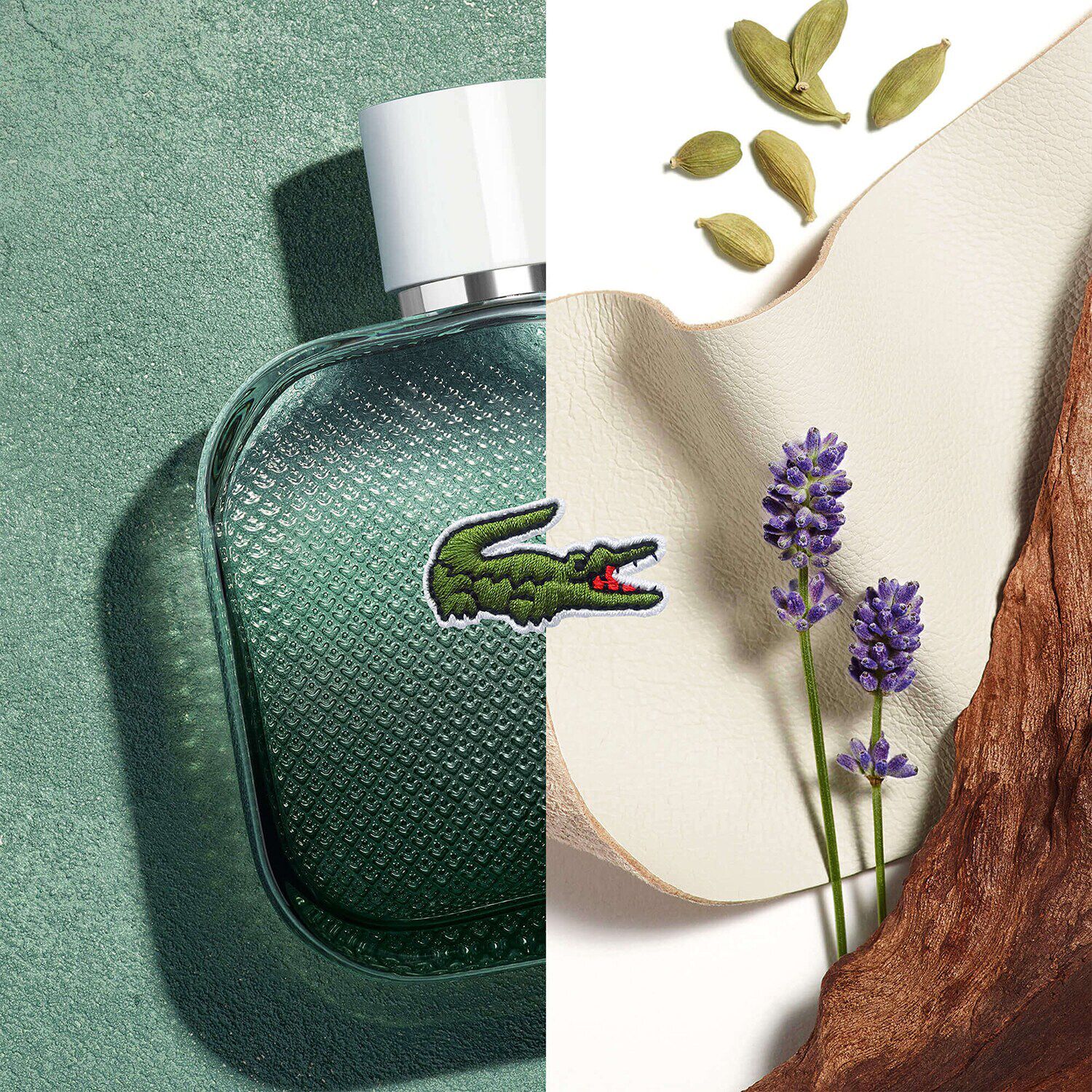Lacoste blanc sephora new arrivals