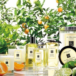 Lime Basil & Mandarin - Gel Moussant Nettoyant