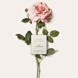 Atelier des Fleurs Rosa Damascena - Eau de Parfum
