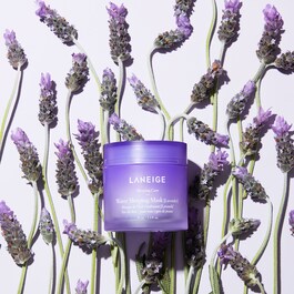 Water Sleeping Mask Probiotics - Masque de nuit hydratant