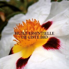 Cica natura - Baume réparateur visage corps aux huiles essentielles certifié Bio
