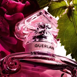 La Petite Robe Noire - Eau de Parfum Absolue