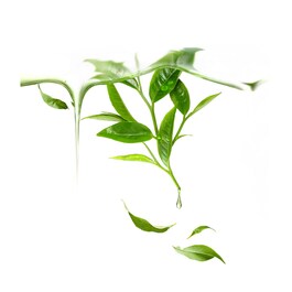UFO ™ Mask Green Tea - Masque Visage Purifiant
