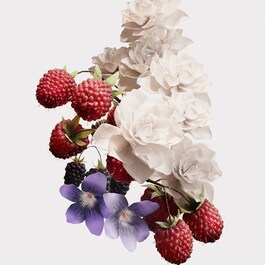Her - Eau de Parfum
