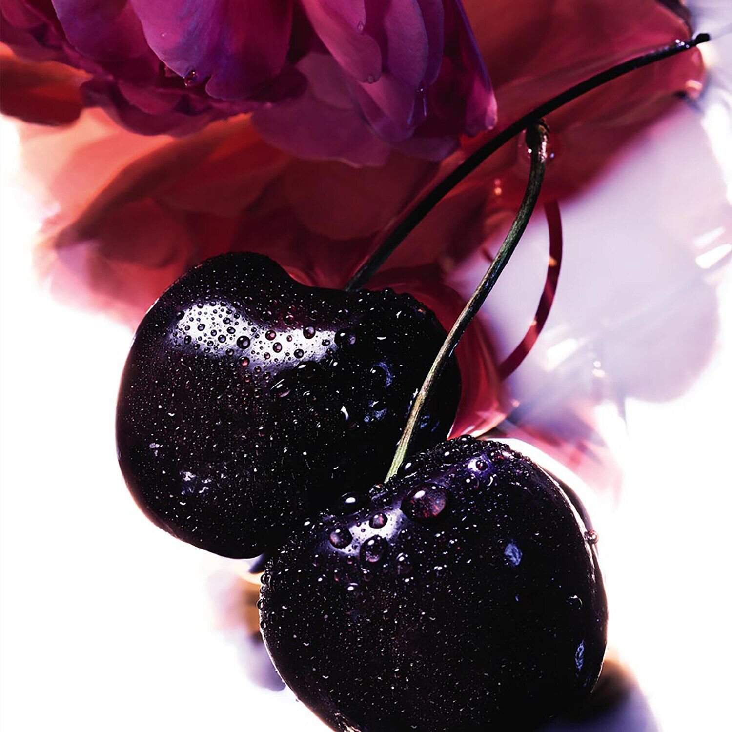La petite robe noire guerlain sephora outlet