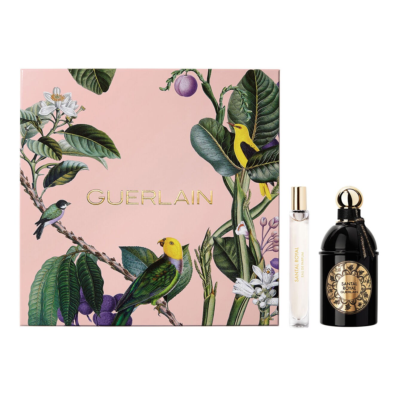 papillon extreme parfum