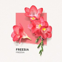 Freesia - Eau de Parfum