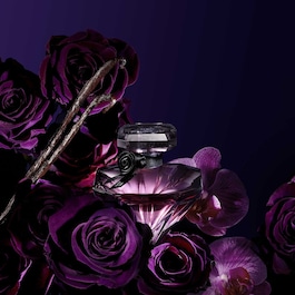 La Nuit Trésor - Eau de Parfum