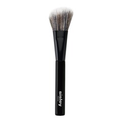 Pinceau Blush, SISLEY