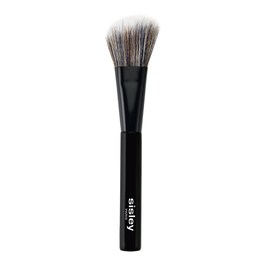 Pinceau Blush