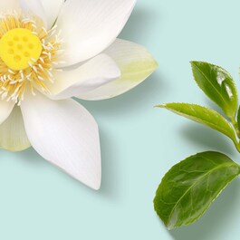 The Ritual of Karma - Crème pour le corps