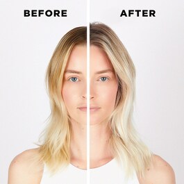 Blond Absolu - Huile Cicaextrême