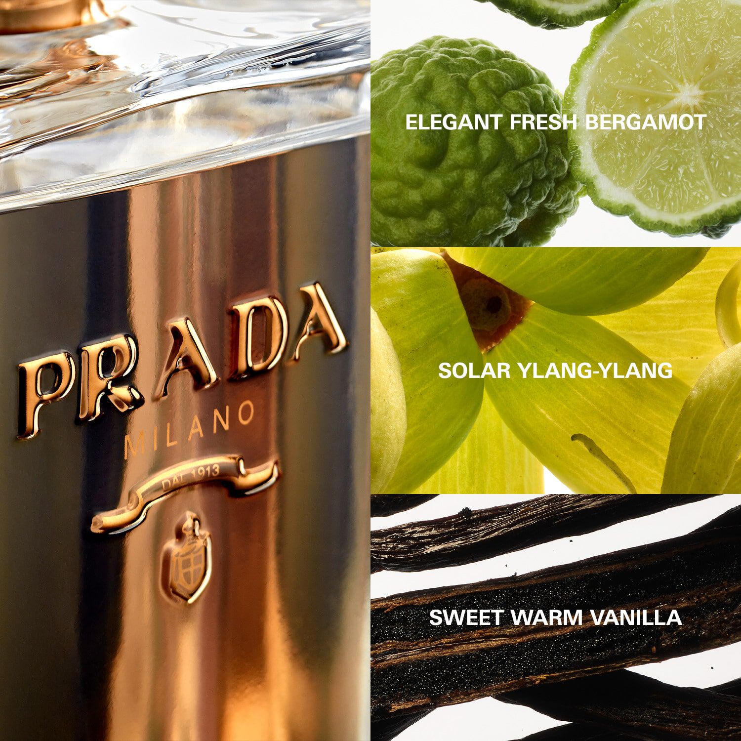 La Femme Prada Eau de Parfum de PRADA SEPHORA