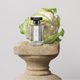 Tonka Blanc - Eau de Cologne