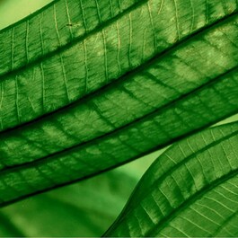 Aquasource Aura Concentrate - Sérum régénérant hydratation et éclat