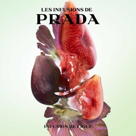 Les Infusions de Prada - Infusion de Figue - Eau de Parfum
