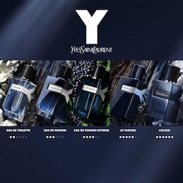 Y - Parfum fougère ambré pour homme 