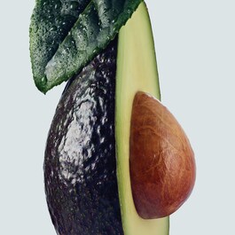 Botanical Repair™ - Masque Réparation Intense Cheveux Fins