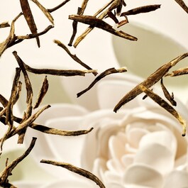 The Ritual of Karma - Parfum d'Intérieur