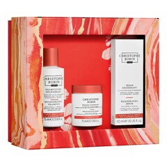Rituel Régénérant d'Exception - Coffret soin cheveux, CHRISTOPHE ROBIN