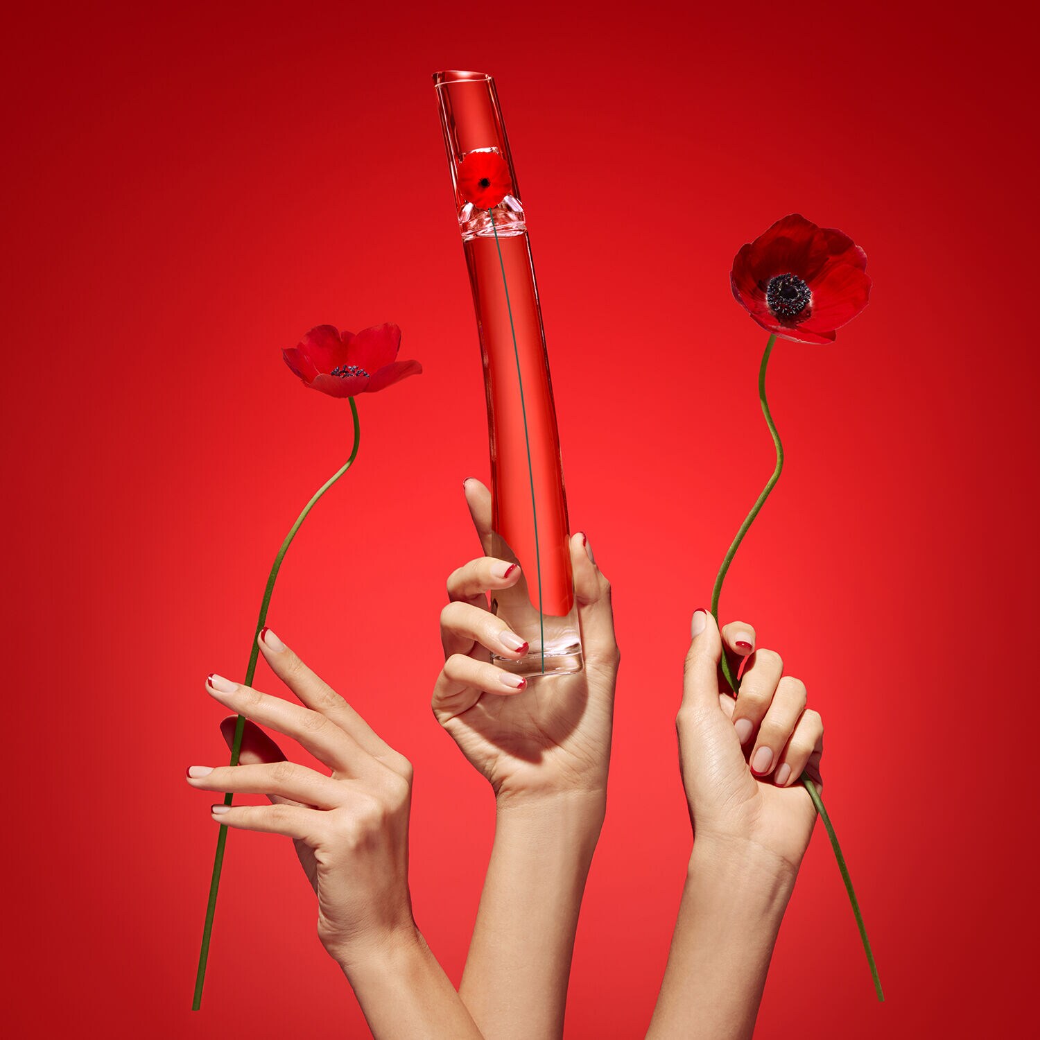 Kenzo flower tag coffret top