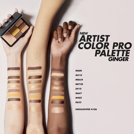 Artist Color Pro Palette Ginger - Palette Yeux