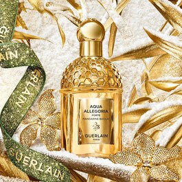 Aqua Allegoria Mandarine Basilic Forte - Coffret Eau de Parfum