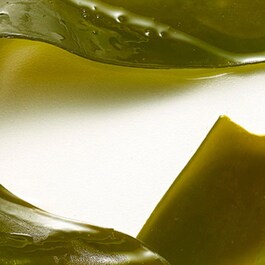 Plantscription - Crème Anti-Age Intense Pour Les Yeux