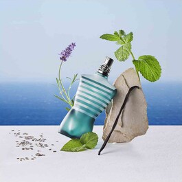 Le Male - Eau de Toilette