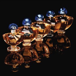 Shalimar Millésime Tonka - Eau de Parfum