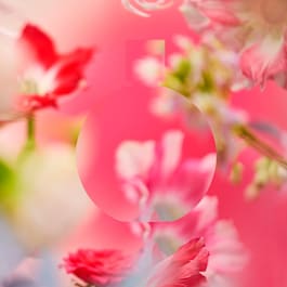 CHANCE EAU TENDRE - Eau De Parfum