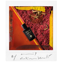 Signatures of the Sun Oud & Spice - Eau de Parfum Épicé Boisé