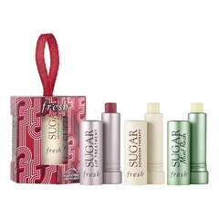 Tint & Treat Lip Care Set - Coffret Couleur Et Soin Des Lèvres, FRESH