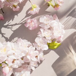 Signatures of the Sun - Sakura - Eau de Parfum