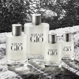 Acqua di Giò - Fontaine Eau de Toilette