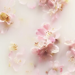 The Ritual of Sakura - Coffret L Corps & Bain
