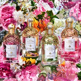 Aqua Allegoria - Granada Salvia - Eau De Toilette