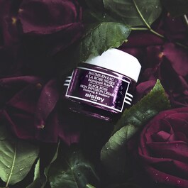 Baume-en-Eau à la Rose Noire - Repulpant Eclat